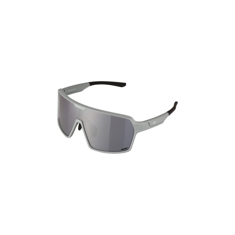brýle ALPINE PRO NOLE šedé