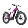 LEADER FOX BRASA 26" FAT BIKE, PANASONIC GX ULTIMATE
