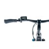 LEADER FOX DENVER PÁNSKÝ 28", BAFANG M300, M:2024-2 LEADER FOX E-BIKE 28" DENVER GENT 19"-2, (M300), vel. 19"