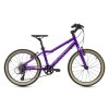ACADEMY Dětské kolo Grade 4 20" 2025 Fialová, Zelená/Žlutá/Modrá/Červená/Fialová