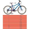 ACADEMY S-GRADE Trail 5 - 24"
