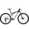BULLS Wild Edge Carbon