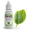 Spearmint 1000x1241 47077.1433126331.1280.1280.jpgc 2