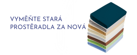 Praktická domácnost