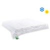 Francouzská přikrývka Aloe Vera 200x200
