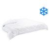 Přikrývka Thermo 240x220cm zimní 3170g (600g/m2)
