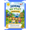 Blue Go Travel Flyer