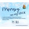 Únor - přípravy