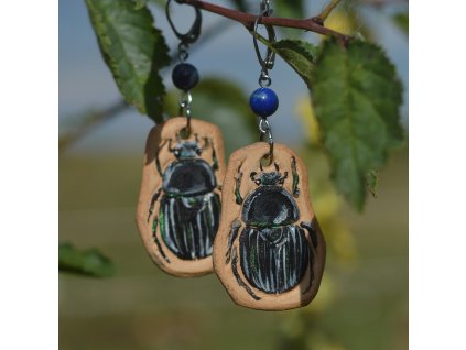 Náušnice Chrobák