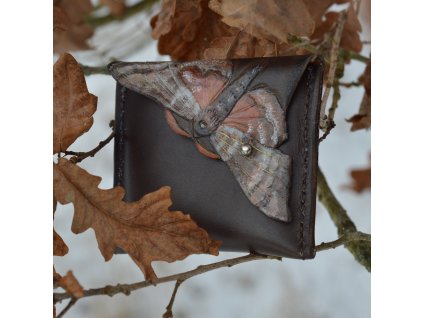 Kapsička Lišaj topolový