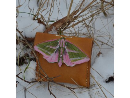 Kapsička Lišaj vrbkový