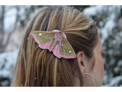 Spona do vlasů Lišaj vrbkový