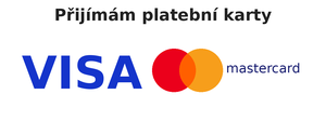 Přijímám online platby