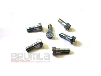 Šroub kotouče M6x19