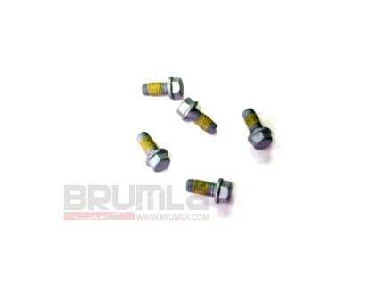 Šroub brzdového kotouče M6x12