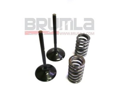 Ventily sací ocel sada Prox