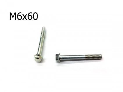 Šroub M6x60