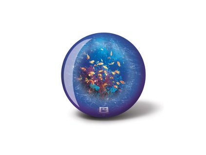 60 400396 Viz A Ball Ocean Life Back sml