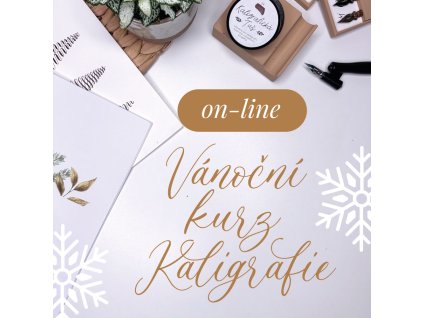vanocni kurz on line