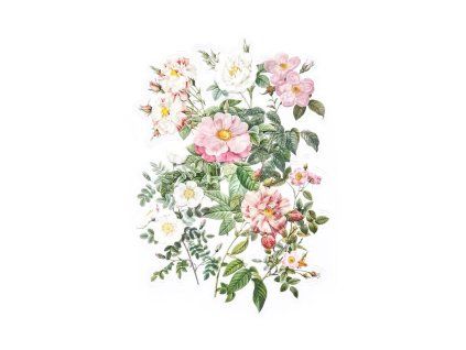 samolepky ruze zahrada