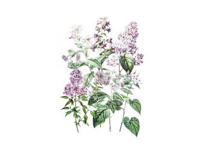 samolepky serik zahrada