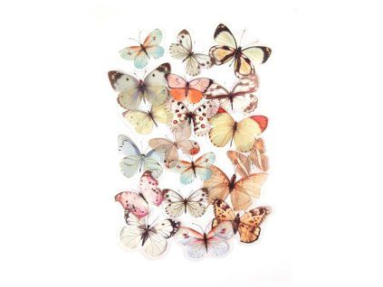 samolepky motyl bezova