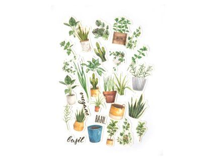 samolepky pokojove rostliny