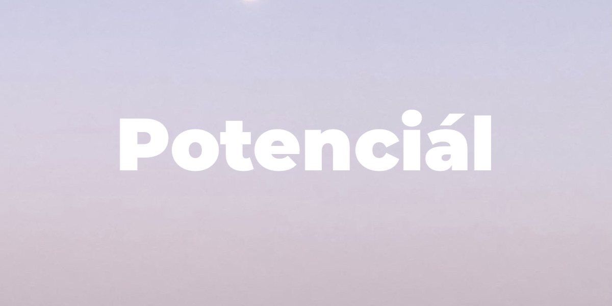 Potenciál: Michael Špaček