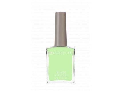 1665 green apple smoothie 14ml no 300