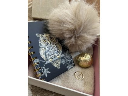 458292537 10211041038737852 2389376128476013024 n