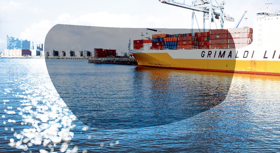 Zorník uvex Polavision