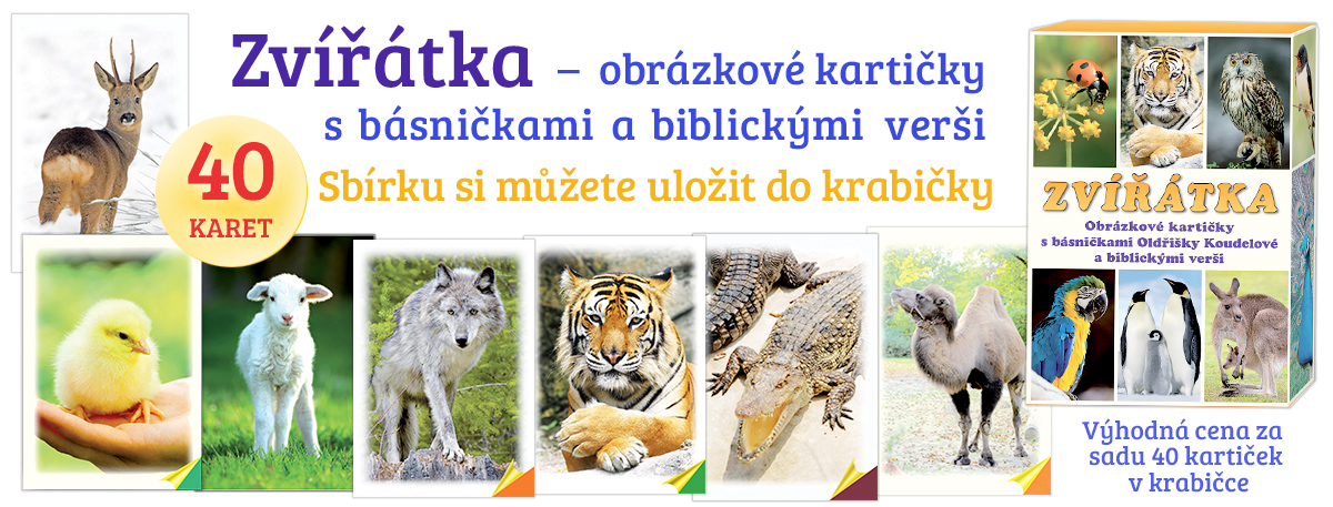 Sada kartiček PN v krabičce