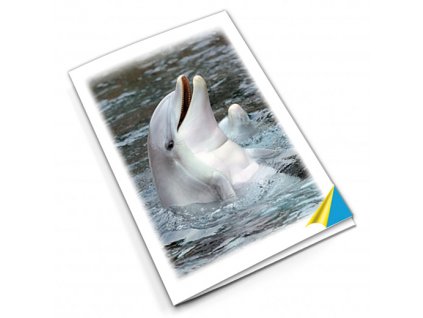 PN56 delfín titlstr 3Ds