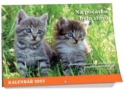 KN23 náhled 3D