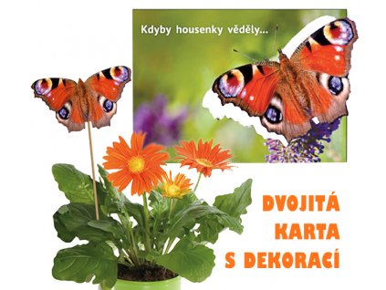 DK195 motýl květináč HL NÁHLED