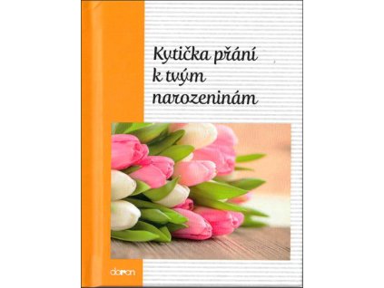 DO205 Kytička přání k tvým narozeninám TITLSTRANA