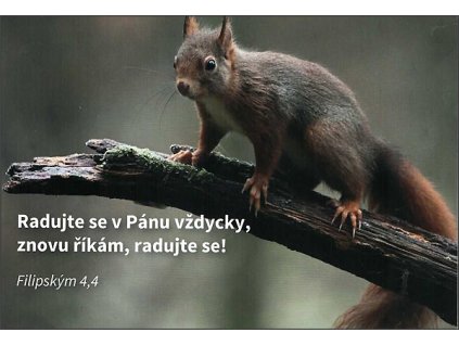 veverka Radujte se v pánu vždycky