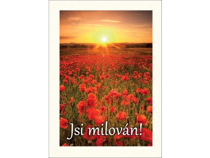 RT3 Jsi milován NOVÁ GRAFIKA
