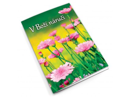 RT93 V Boží náruči titlstr 3D