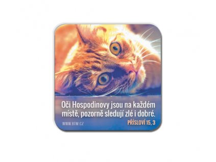 M17 kočka Přísloví 15 3 náhled pro web