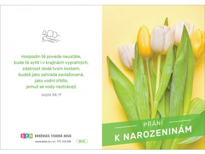 DK135 Přání k narozeninám titl 3D