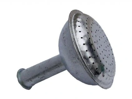 Ružica ku krhle 459