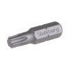 Bit T 10 25mm S2 - 1.18825