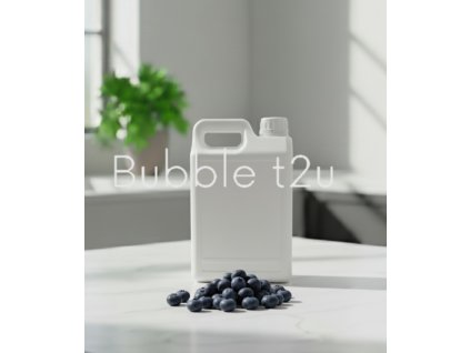 SIRUP BORŮVKA 2,5 kg