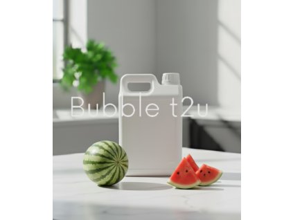 SIRUP VODNÍ MELOUN 2,5 kg