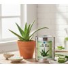 ALOE VERA KOUSKY 3 kg