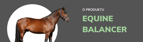 Equine Balancer