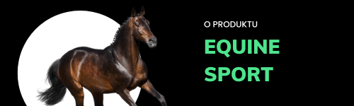 Equine Sport