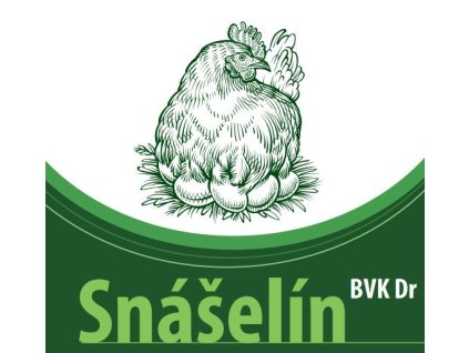 Snášelín BVK Dr