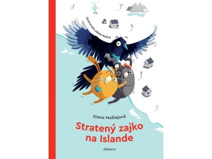 Stratený zajko na Islande